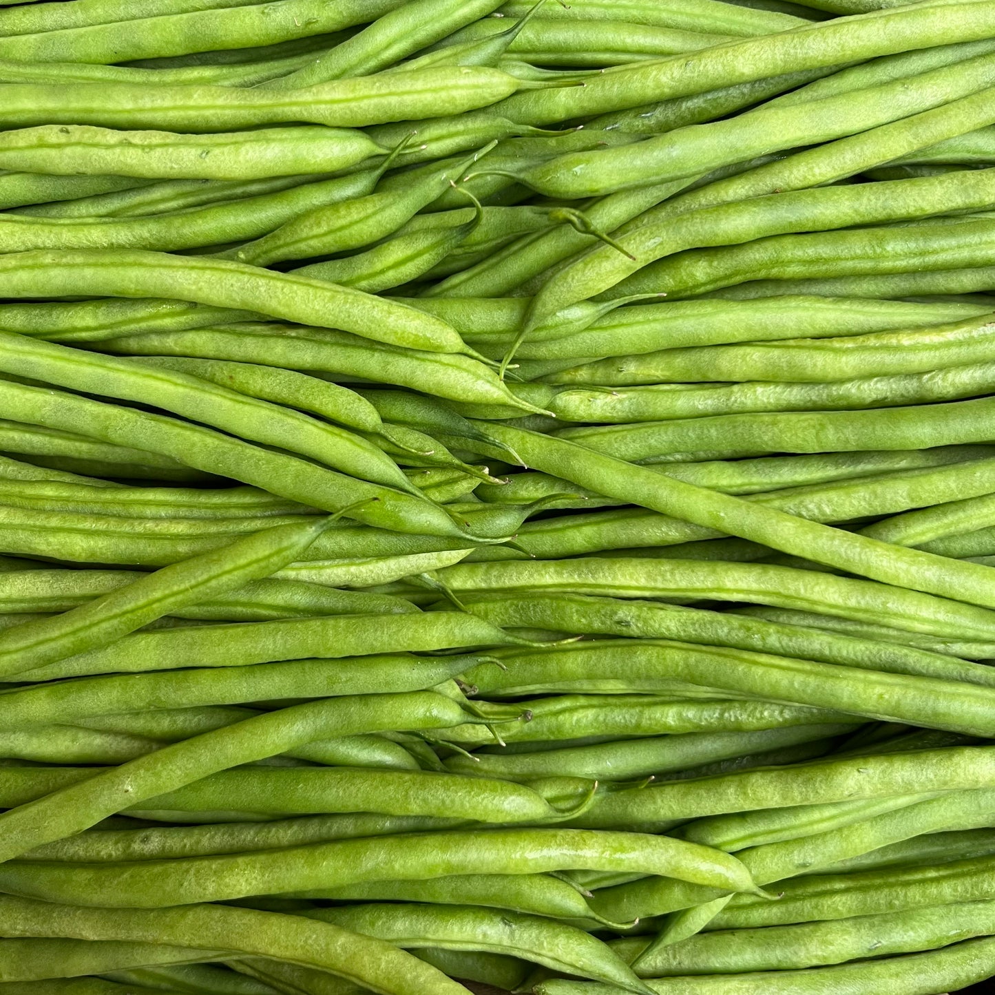 Fine Beans (250g)
