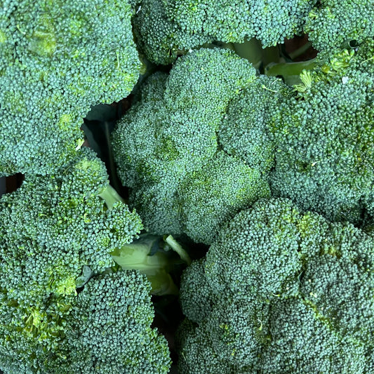 Broccoli
