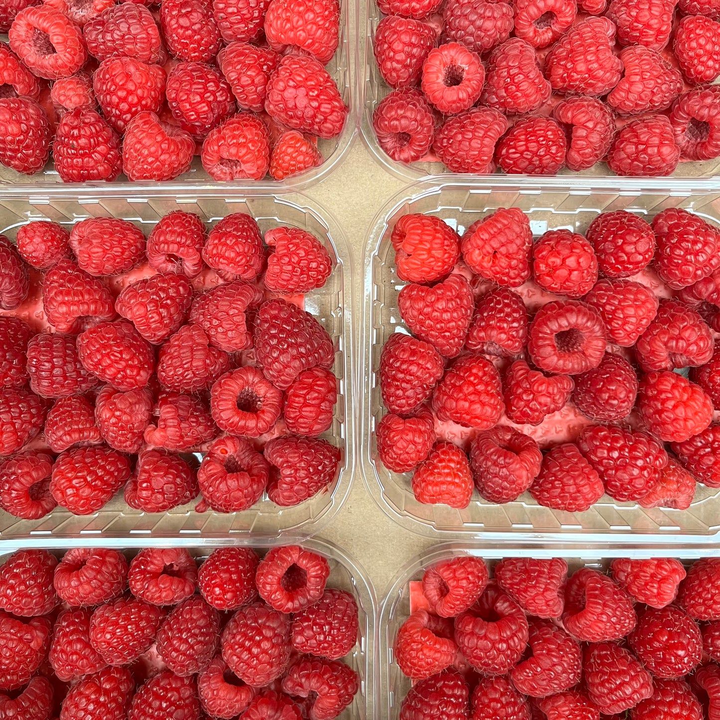 Raspberries (125g)