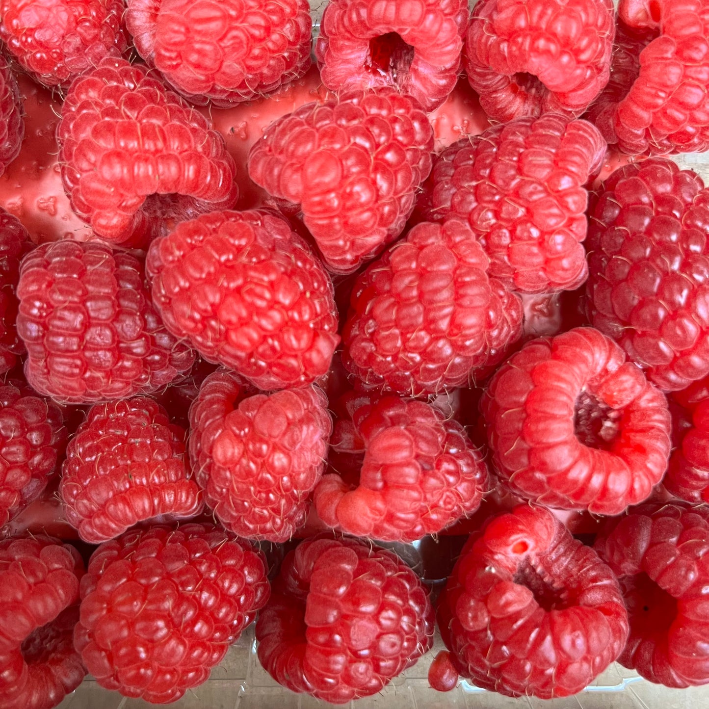 Raspberries (125g)