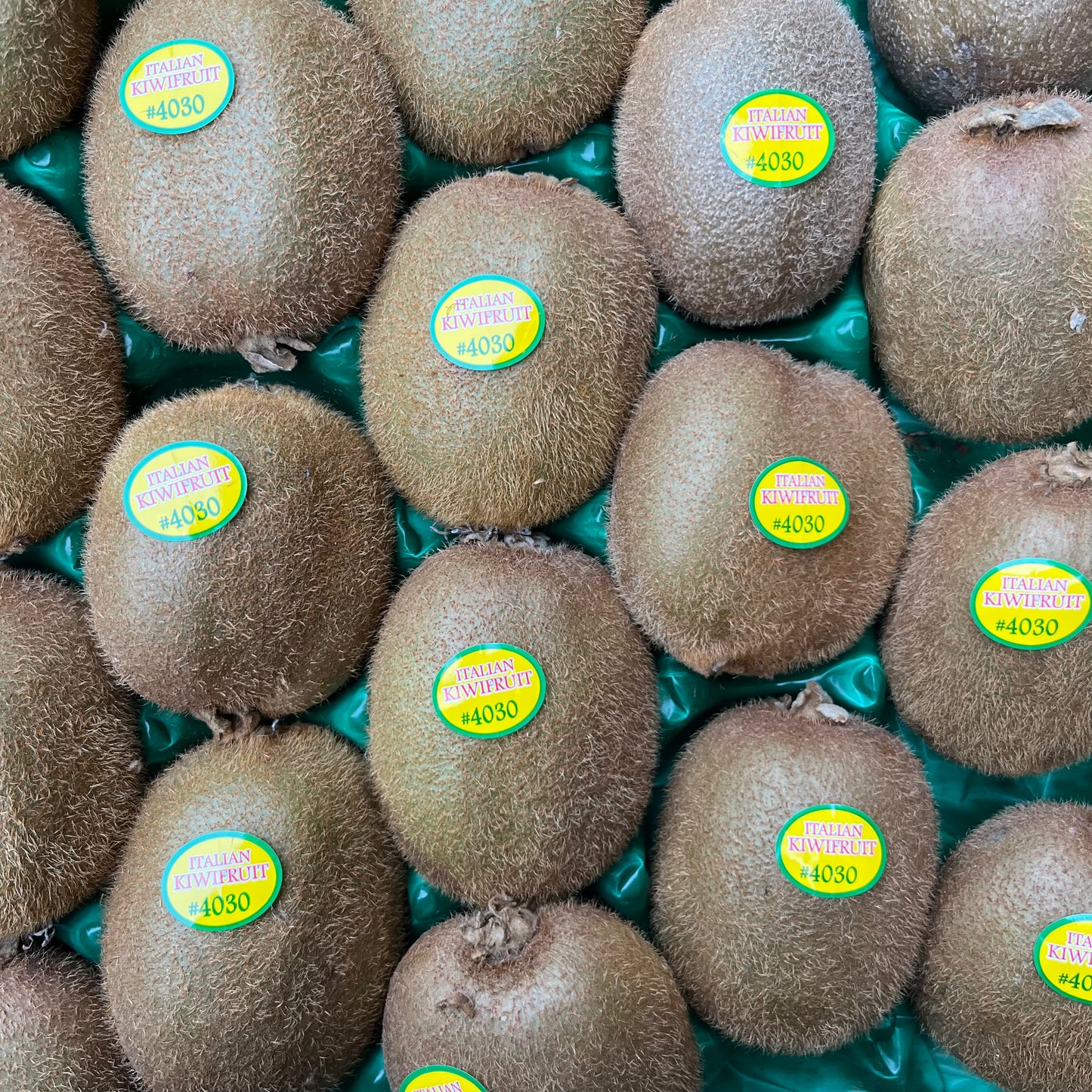 Kiwi Fruit (3 pieces)