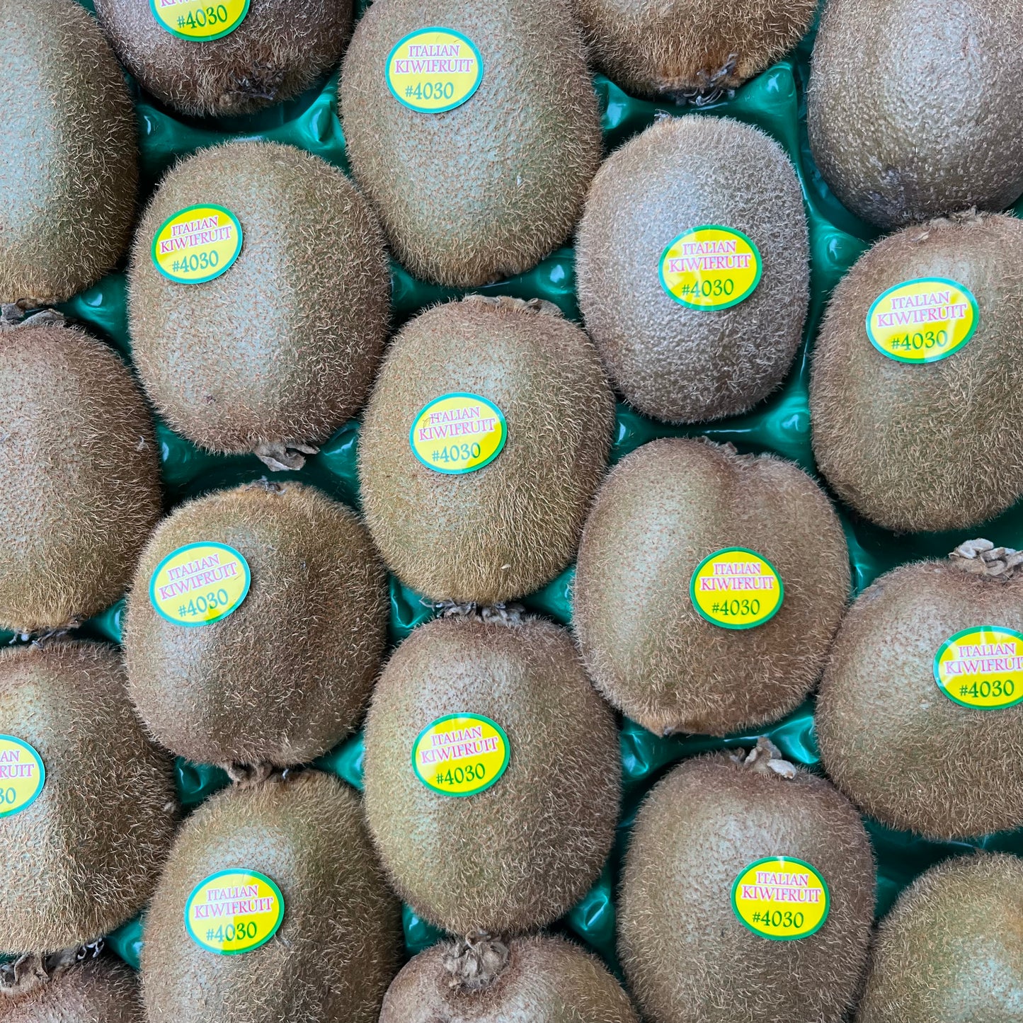 Kiwi Fruit (3 pieces)