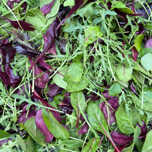 Mixed Leaf Bag