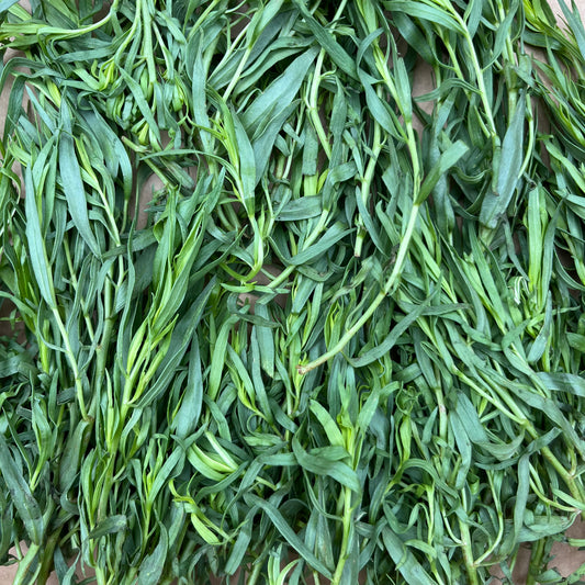 Tarragon (Bunch)