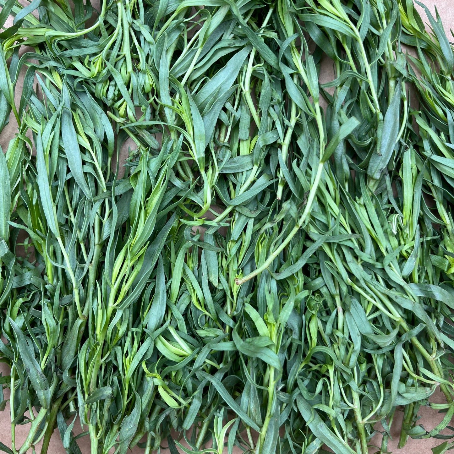 Tarragon (Bunch)