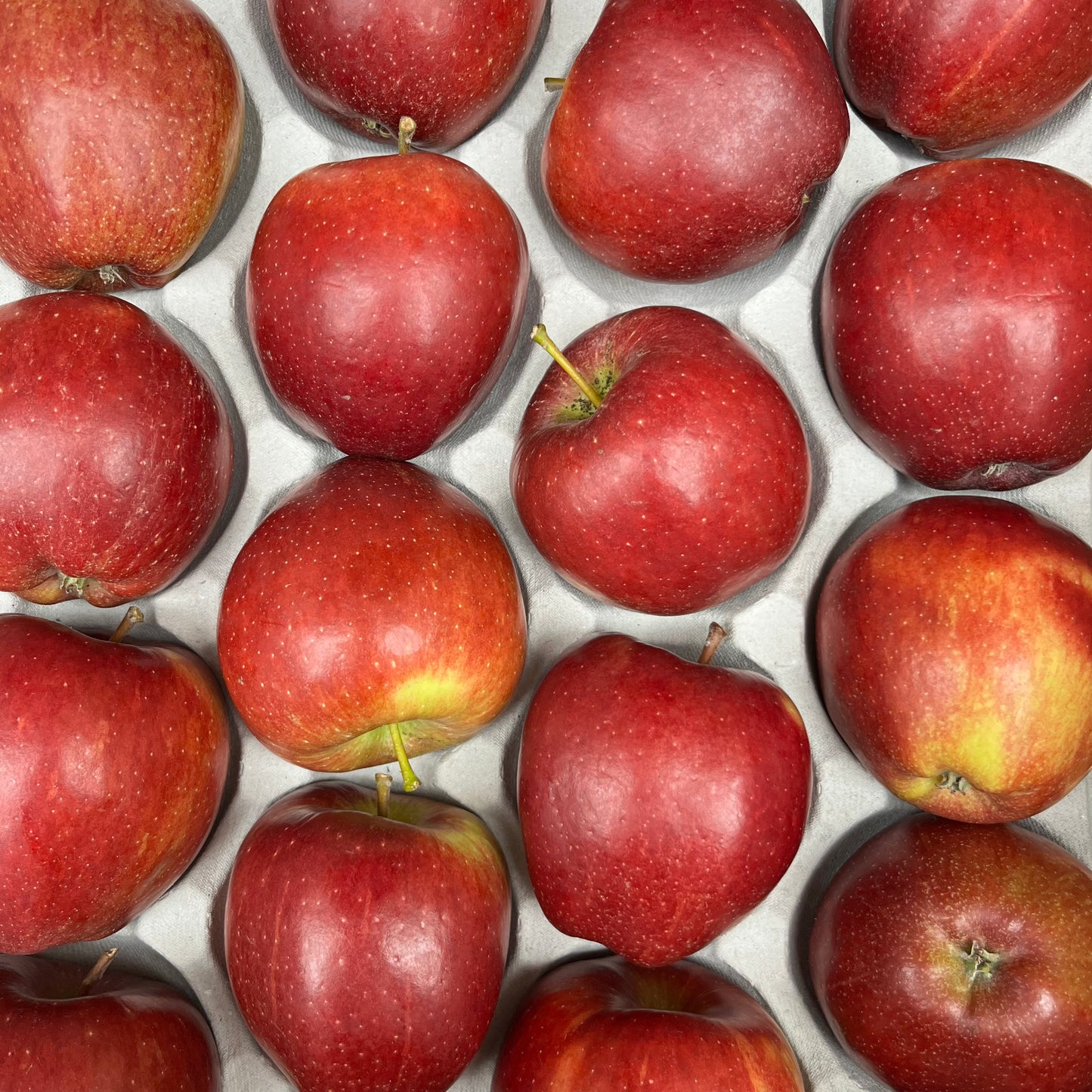 Braeburn Apples