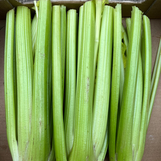 Celery (Bunch)